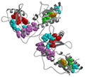 Transcripción Reversa