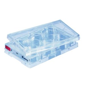 Placa de cultivo celular de 6 pocillos , Standard , blíster individual (Células adherentes)