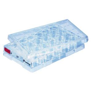 Placa de cultivo celular de 24 pocillos, Standard, Blister individual