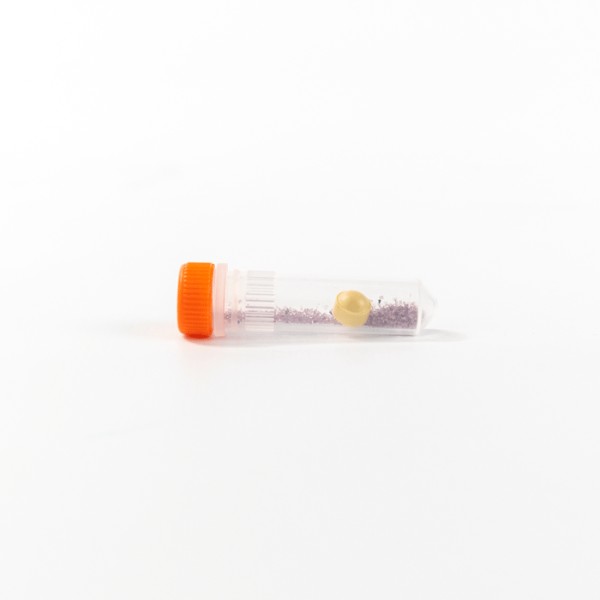 Lysing Matrix A